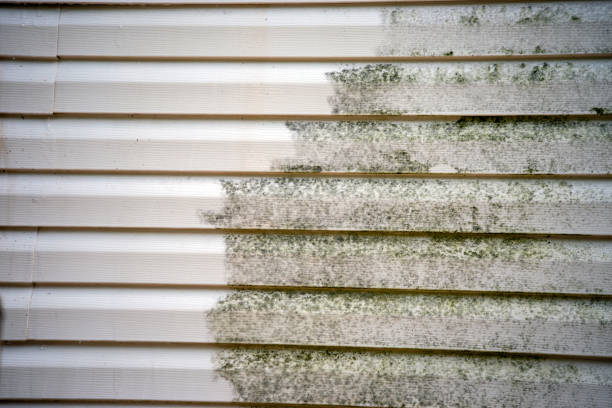 Affordable siding repair and maintenance services in West Little River, FL