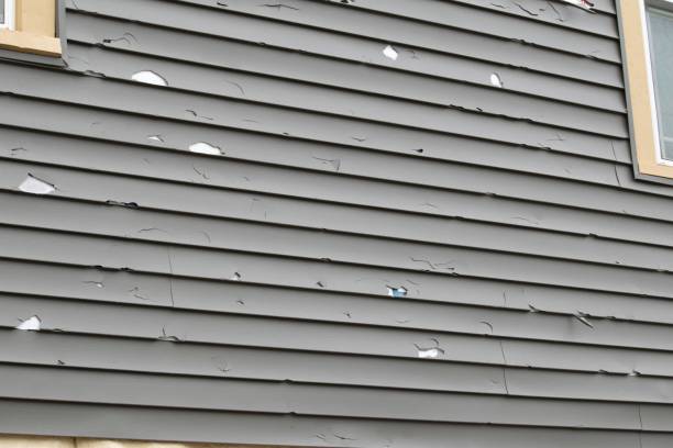 Best Siding Painting and Refinishing  in West Little River, FL