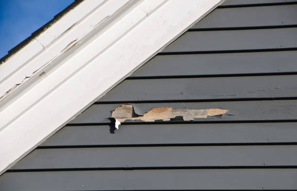 Best Custom Trim and Detailing for Siding  in West Little River, FL
