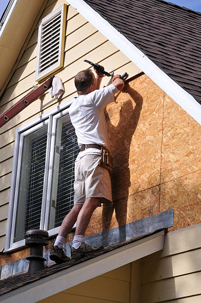 Best Brick Veneer Siding  in West Little River, FL